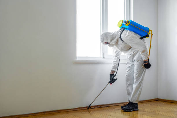 Best Ant Control Services  in San Antonio, FL